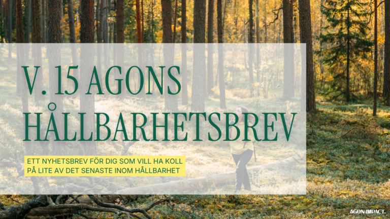 Kopia av nyhetsbrev agon 2.0 (4)